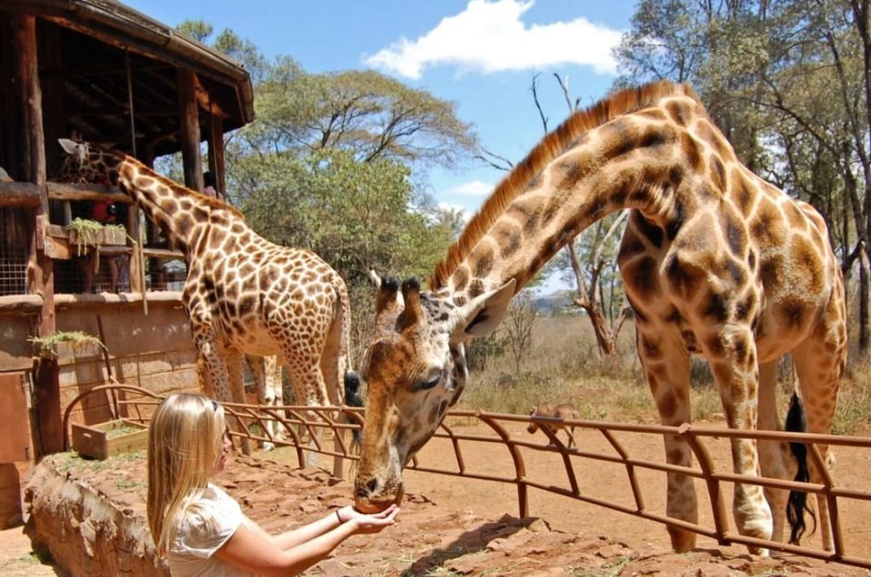 Top Things To Do In Nairobi