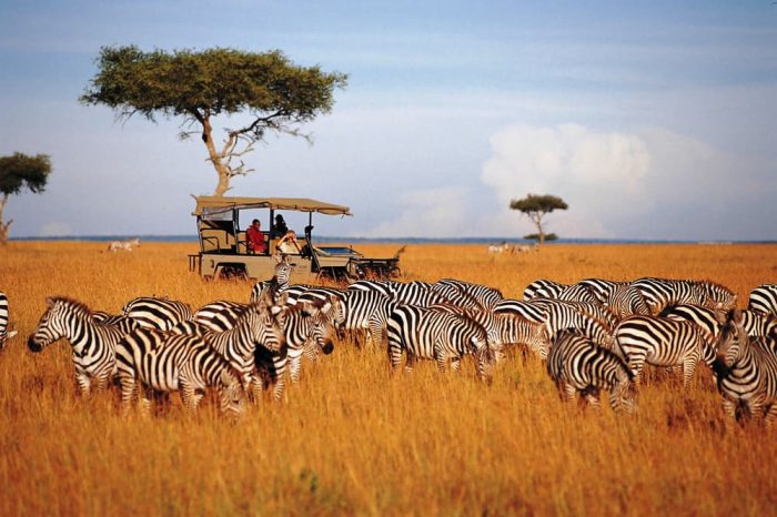 3 Days Amboseli National Park Luxury Safari