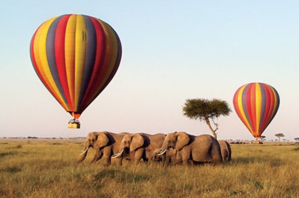 Best Time to Visit Kenya for Your Dream Safari (2025 Season Guide)
