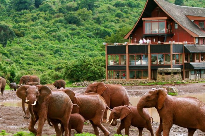 8 days Mt Kenya safari, Samburu, Ol Pejeta, Lake Nakuru and Masai Mara