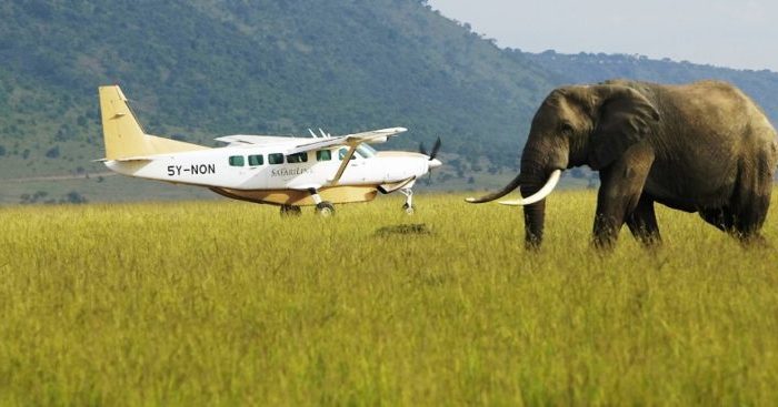3 Days Amboseli National Park Flying Safari