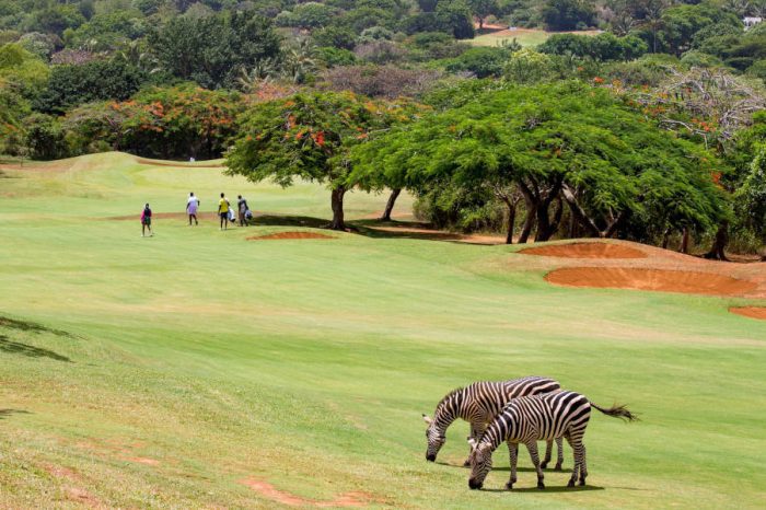 7 Days Kenya golf Safari