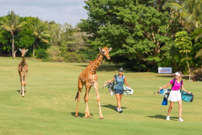 14 Days Kenya Golf, Wildlife Safari and Beach Vacation