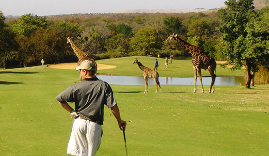 14-Day Bespoke Luxury Kenya Safari, Golf & Beach Journey